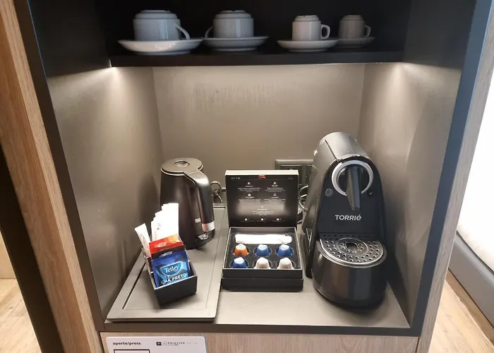 Ξενοδοχείο Principe Avila 4*